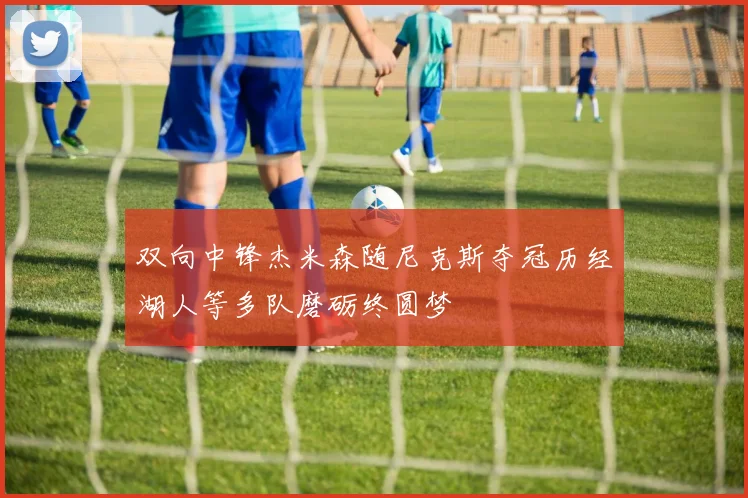 双向中锋杰米森随尼克斯夺冠历经湖人等多队磨砺终圆梦