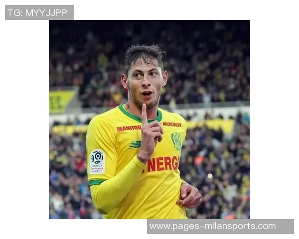 卡迪夫城就萨拉坠机事件向南特索赔12亿欧元提起诉讼